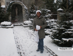 white x-mas