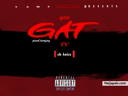 you gat it mp3 by AB krizz
