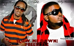 slow me down by VEEZY KING FT KELLY HANSOME