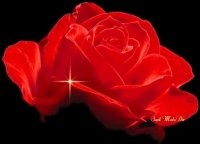 ama4love