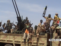 Darfur rebels