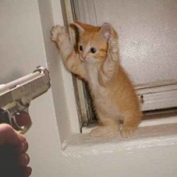 Thief thief