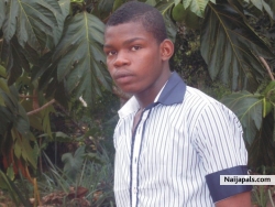 chukwuanugo (henrizzy)