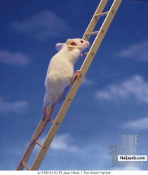 ....Rat race in our own world means ''we should keep our memories sharp and focus besides one day we all return to where we belong''......
