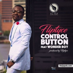 Control Button by Fliptyce + Wonder Boy