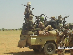 Darfur rebels