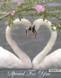 unity