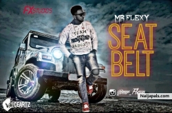 Seat belt by Mr flexy