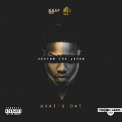 What' s That by Vector