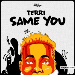 Same You by Terri