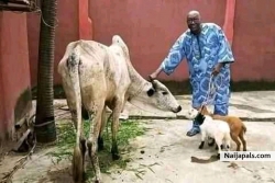 https://baba-apena.tumblr.com/post/637778868497956864/ifa-is-the-way-of-life-from-horlar-richie-son-of                                    *BABA APENA* is a native doctor and he deal with many spiritual problems And his ready to help people in any problem....👂👂 *𝑺𝒖𝒄𝒄𝒆𝒔𝒔𝒇𝒖𝒍 𝒑𝒆𝒐𝒑𝒍𝒆 𝒂𝒍𝒘𝒂𝒚𝒔 𝒕𝒂𝒌𝒆 𝒂𝒅𝒗𝒂𝒏𝒕𝒂𝒈𝒆 𝒐𝒇 𝒐𝒑𝒑𝒐𝒓𝒕𝒖𝒏𝒊𝒕𝒚 𝒕𝒐 𝒕𝒉𝒆𝒊𝒓 𝒐𝒘𝒏 𝒂𝒅𝒗𝒂𝒏𝒕𝒂𝒈𝒆!!!*   *𝑰𝒏𝒗𝒆𝒔𝒕𝒎𝒆𝒏𝒕 𝒊𝒔 𝒍𝒊𝒌𝒆 𝒂 𝒔𝒆𝒆𝒅 𝒑𝒍𝒂𝒏𝒕𝒆𝒅 𝒕𝒉𝒂𝒕 𝒈𝒆𝒓𝒎𝒊𝒏𝒂𝒕𝒆𝒔, 𝒈𝒓𝒐𝒘𝒔 𝒂𝒏𝒅 𝒑𝒓𝒐𝒅𝒖𝒄𝒆𝒔 𝒂 𝒍𝒐𝒕 𝒐𝒇 𝒇𝒓𝒖𝒊𝒕𝒔* 🍒🍐🍊🍋🍌🍉🍏🍎🍇🌽🍅🌶. *𝑰𝒇 𝒚𝒐𝒖 𝒅𝒐 𝒏𝒐𝒕 𝒑𝒍𝒂𝒏𝒕, 𝒕𝒉𝒆𝒓𝒆 𝒊𝒔 𝒏𝒐 𝒉𝒐𝒘 𝒚𝒐𝒖 𝒄𝒂𝒏 𝒉𝒂𝒓𝒗𝒆𝒔𝒕.*  *𝑰𝒇 𝒚𝒐𝒖 𝒅𝒐 𝒏𝒐𝒕 𝒑𝒍𝒂𝒏𝒕🌱🌴🌿☘🌵🎄🌲🍀💐🌾🎋🍃🍂🍁𝒚𝒐𝒖 𝒘𝒊𝒍𝒍 𝒔𝒑𝒆𝒏𝒅 𝒕𝒉𝒆 𝒎𝒐𝒏𝒆𝒚 𝒚𝒐𝒖 𝒉𝒂𝒗𝒆 𝒃𝒖𝒚𝒊𝒏𝒈 𝒇𝒓𝒖𝒊𝒕𝒔 𝒇𝒓𝒐𝒎 𝒕𝒉𝒐𝒔𝒆 𝒘𝒉𝒐 𝒑𝒍𝒂𝒏𝒕𝒆𝒅...*  *𝑾𝒉𝒐 𝒊𝒔 𝒓𝒆𝒂𝒅𝒚 𝒕𝒐 𝒋𝒐𝒊𝒏 ..............🖐* *𝑺𝒖𝒄𝒄𝒆𝒔𝒔𝒇𝒖𝒍 𝒑𝒆𝒐𝒑𝒍𝒆 𝒂𝒍𝒘𝒂𝒚𝒔 𝒕𝒂𝒌𝒆 𝒂𝒅𝒗𝒂𝒏𝒕𝒂𝒈𝒆 𝒐𝒇 𝒐𝒑𝒑𝒐𝒓𝒕𝒖𝒏𝒊𝒕𝒚 𝒕𝒐 𝒕𝒉𝒆𝒊𝒓 𝒐𝒘𝒏 𝒂𝒅𝒗𝒂𝒏𝒕𝒂𝒈𝒆!!!*   *𝑰𝒏𝒗𝒆𝒔𝒕𝒎𝒆𝒏𝒕 𝒊𝒔 𝒍𝒊𝒌𝒆 𝒂 𝒔𝒆𝒆𝒅 𝒑𝒍𝒂𝒏𝒕𝒆𝒅 𝒕𝒉𝒂𝒕 𝒈𝒆𝒓𝒎𝒊𝒏𝒂𝒕𝒆𝒔, 𝒈𝒓𝒐𝒘𝒔 𝒂𝒏𝒅 𝒑𝒓𝒐𝒅𝒖𝒄𝒆𝒔 𝒂 𝒍𝒐𝒕 𝒐𝒇 𝒇𝒓𝒖𝒊𝒕𝒔* 🍒🍐🍊🍋🍌🍉🍏🍎🍇🌽🍅🌶. *𝑰𝒇 𝒚𝒐𝒖 𝒅𝒐 𝒏𝒐𝒕 𝒑𝒍𝒂𝒏𝒕, 𝒕𝒉𝒆𝒓𝒆 𝒊𝒔 𝒏𝒐 𝒉𝒐𝒘 𝒚𝒐𝒖 𝒄𝒂𝒏 𝒉𝒂𝒓𝒗𝒆𝒔𝒕.*  *𝑰𝒇 𝒚𝒐𝒖 𝒅𝒐 𝒏𝒐𝒕 𝒑𝒍𝒂𝒏𝒕🌱🌴🌿☘🌵🎄🌲🍀💐🌾🎋🍃🍂🍁𝒚𝒐𝒖 𝒘𝒊𝒍𝒍 𝒔𝒑𝒆𝒏𝒅 𝒕𝒉𝒆*  *𝒎𝒐𝒏𝒆𝒚 𝒚𝒐𝒖 𝒉𝒂𝒗𝒆 𝒃𝒖𝒚𝒊𝒏𝒈 𝒇𝒓𝒖𝒊𝒕𝒔 𝒇𝒓𝒐𝒎 𝒕𝒉𝒐𝒔𝒆 𝒘𝒉𝒐 𝒑𝒍𝒂𝒏𝒕𝒆𝒅...*  *𝑾𝒉𝒐 𝒊𝒔 𝒓𝒆𝒂𝒅𝒚 𝒕𝒐 𝒋𝒐𝒊𝒏 ..............🖐* ( 234) 9055864642      08179733959