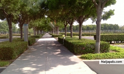 Robinson (balee1)