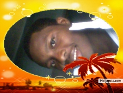 stallon blaze