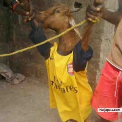 goat boy