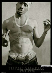 PACS LIFE