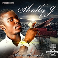 am in the mood by sholly j
