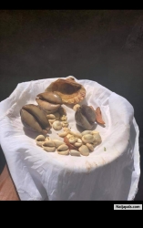 https://baba-apena.tumblr.com/post/637778868497956864/ifa-is-the-way-of-life-from-horlar-richie-son-of                                    *BABA APENA* is a native doctor and he deal with many spiritual problems And his ready to help people in any problem....👂👂 *𝑺𝒖𝒄𝒄𝒆𝒔𝒔𝒇𝒖𝒍 𝒑𝒆𝒐𝒑𝒍𝒆 𝒂𝒍𝒘𝒂𝒚𝒔 𝒕𝒂𝒌𝒆 𝒂𝒅𝒗𝒂𝒏𝒕𝒂𝒈𝒆 𝒐𝒇 𝒐𝒑𝒑𝒐𝒓𝒕𝒖𝒏𝒊𝒕𝒚 𝒕𝒐 𝒕𝒉𝒆𝒊𝒓 𝒐𝒘𝒏 𝒂𝒅𝒗𝒂𝒏𝒕𝒂𝒈𝒆!!!*   *𝑰𝒏𝒗𝒆𝒔𝒕𝒎𝒆𝒏𝒕 𝒊𝒔 𝒍𝒊𝒌𝒆 𝒂 𝒔𝒆𝒆𝒅 𝒑𝒍𝒂𝒏𝒕𝒆𝒅 𝒕𝒉𝒂𝒕 𝒈𝒆𝒓𝒎𝒊𝒏𝒂𝒕𝒆𝒔, 𝒈𝒓𝒐𝒘𝒔 𝒂𝒏𝒅 𝒑𝒓𝒐𝒅𝒖𝒄𝒆𝒔 𝒂 𝒍𝒐𝒕 𝒐𝒇 𝒇𝒓𝒖𝒊𝒕𝒔* 🍒🍐🍊🍋🍌🍉🍏🍎🍇🌽🍅🌶. *𝑰𝒇 𝒚𝒐𝒖 𝒅𝒐 𝒏𝒐𝒕 𝒑𝒍𝒂𝒏𝒕, 𝒕𝒉𝒆𝒓𝒆 𝒊𝒔 𝒏𝒐 𝒉𝒐𝒘 𝒚𝒐𝒖 𝒄𝒂𝒏 𝒉𝒂𝒓𝒗𝒆𝒔𝒕.*  *𝑰𝒇 𝒚𝒐𝒖 𝒅𝒐 𝒏𝒐𝒕 𝒑𝒍𝒂𝒏𝒕🌱🌴🌿☘🌵🎄🌲🍀💐🌾🎋🍃🍂🍁𝒚𝒐𝒖 𝒘𝒊𝒍𝒍 𝒔𝒑𝒆𝒏𝒅 𝒕𝒉𝒆 𝒎𝒐𝒏𝒆𝒚 𝒚𝒐𝒖 𝒉𝒂𝒗𝒆 𝒃𝒖𝒚𝒊𝒏𝒈 𝒇𝒓𝒖𝒊𝒕𝒔 𝒇𝒓𝒐𝒎 𝒕𝒉𝒐𝒔𝒆 𝒘𝒉𝒐 𝒑𝒍𝒂𝒏𝒕𝒆𝒅...*  *𝑾𝒉𝒐 𝒊𝒔 𝒓𝒆𝒂𝒅𝒚 𝒕𝒐 𝒋𝒐𝒊𝒏 ..............🖐* *𝑺𝒖𝒄𝒄𝒆𝒔𝒔𝒇𝒖𝒍 𝒑𝒆𝒐𝒑𝒍𝒆 𝒂𝒍𝒘𝒂𝒚𝒔 𝒕𝒂𝒌𝒆 𝒂𝒅𝒗𝒂𝒏𝒕𝒂𝒈𝒆 𝒐𝒇 𝒐𝒑𝒑𝒐𝒓𝒕𝒖𝒏𝒊𝒕𝒚 𝒕𝒐 𝒕𝒉𝒆𝒊𝒓 𝒐𝒘𝒏 𝒂𝒅𝒗𝒂𝒏𝒕𝒂𝒈𝒆!!!*   *𝑰𝒏𝒗𝒆𝒔𝒕𝒎𝒆𝒏𝒕 𝒊𝒔 𝒍𝒊𝒌𝒆 𝒂 𝒔𝒆𝒆𝒅 𝒑𝒍𝒂𝒏𝒕𝒆𝒅 𝒕𝒉𝒂𝒕 𝒈𝒆𝒓𝒎𝒊𝒏𝒂𝒕𝒆𝒔, 𝒈𝒓𝒐𝒘𝒔 𝒂𝒏𝒅 𝒑𝒓𝒐𝒅𝒖𝒄𝒆𝒔 𝒂 𝒍𝒐𝒕 𝒐𝒇 𝒇𝒓𝒖𝒊𝒕𝒔* 🍒🍐🍊🍋🍌🍉🍏🍎🍇🌽🍅🌶. *𝑰𝒇 𝒚𝒐𝒖 𝒅𝒐 𝒏𝒐𝒕 𝒑𝒍𝒂𝒏𝒕, 𝒕𝒉𝒆𝒓𝒆 𝒊𝒔 𝒏𝒐 𝒉𝒐𝒘 𝒚𝒐𝒖 𝒄𝒂𝒏 𝒉𝒂𝒓𝒗𝒆𝒔𝒕.*  *𝑰𝒇 𝒚𝒐𝒖 𝒅𝒐 𝒏𝒐𝒕 𝒑𝒍𝒂𝒏𝒕🌱🌴🌿☘🌵🎄🌲🍀💐🌾🎋🍃🍂🍁𝒚𝒐𝒖 𝒘𝒊𝒍𝒍 𝒔𝒑𝒆𝒏𝒅 𝒕𝒉𝒆*  *𝒎𝒐𝒏𝒆𝒚 𝒚𝒐𝒖 𝒉𝒂𝒗𝒆 𝒃𝒖𝒚𝒊𝒏𝒈 𝒇𝒓𝒖𝒊𝒕𝒔 𝒇𝒓𝒐𝒎 𝒕𝒉𝒐𝒔𝒆 𝒘𝒉𝒐 𝒑𝒍𝒂𝒏𝒕𝒆𝒅...*  *𝑾𝒉𝒐 𝒊𝒔 𝒓𝒆𝒂𝒅𝒚 𝒕𝒐 𝒋𝒐𝒊𝒏 ..............🖐* ( 234) 9055864642      08179733959