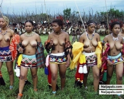 South African Maidens