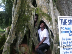 at aburi gardens