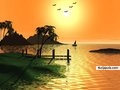 view the earth