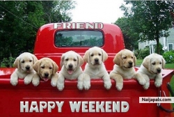 Have fun guys!Enjoy your weekend but remember not to DRINK and drive