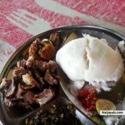 my meal today