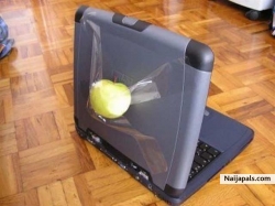 lolzz