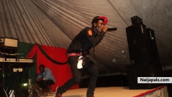 wolex@show