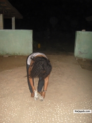 diya1 (diya1)