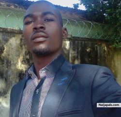 stevobaba