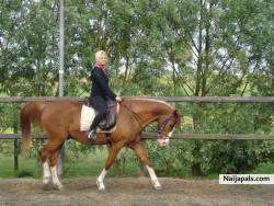 Djidim My Horse and Me