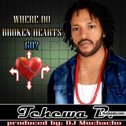 Where Do Broken Hearts Go? by Tchewa B