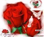 any