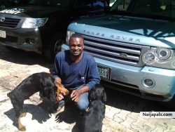 playing with my dogs