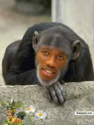 DROGBA
