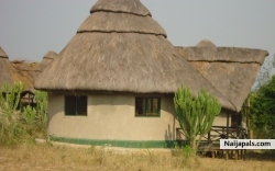 AKORA BENEDICT (atwooki)
