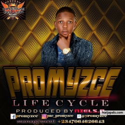 Life Cycle by PROMYZCE