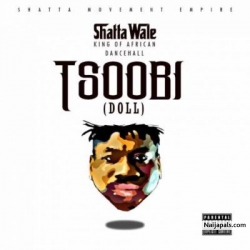 Tsoobi by Shatta Wale 