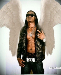 flyer dan a bird
