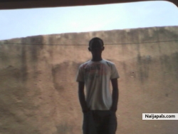 ayinde alase (alasia)
