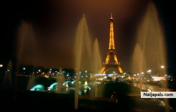 My Picture