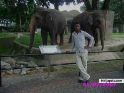 Malaysian National Zoo ( Negera)