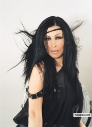 hamed hamdy (share)