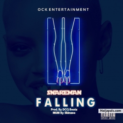 Falling by Snareman