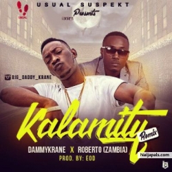 Kalamity (Remix) by Dammy Krane  ft. Roberto  