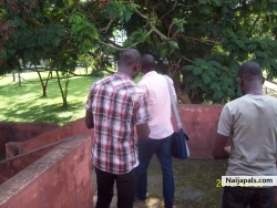 olagoke tobi (tobhee)