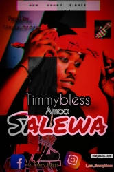 Salewa (Freestyle) by Timmy Bless 