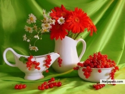 loveth
