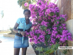 My Picture