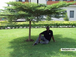 Jerry Adamaede (jerrydam)